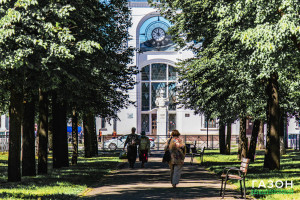 Эксперты НовГУ оценили состояние деревьев в центре Великого Новгорода