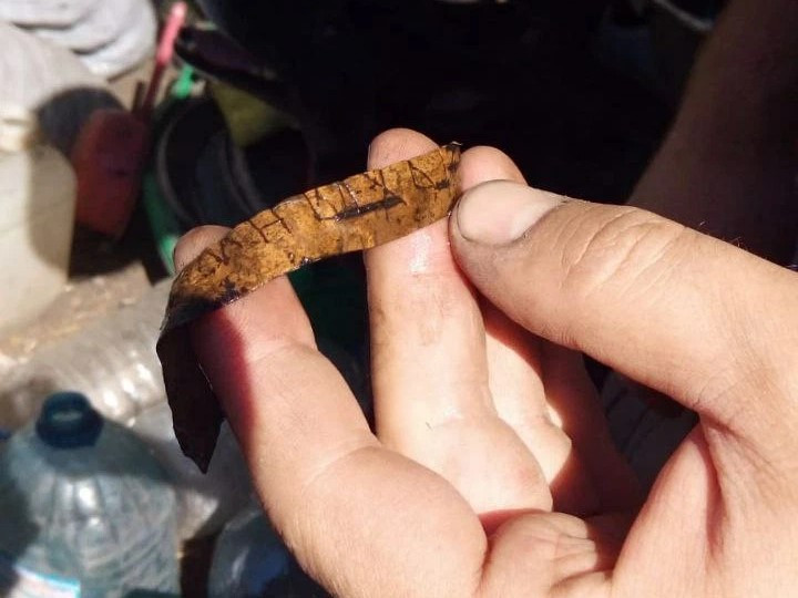 В Старой Руссе найдена 53-я берестяная грамота