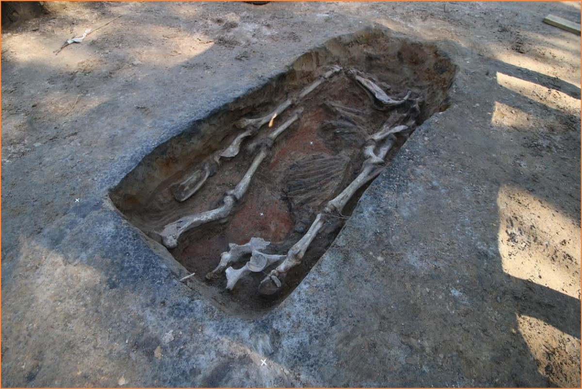 Археологи НовГУ нашли древнейший некрополь и могилу лошади