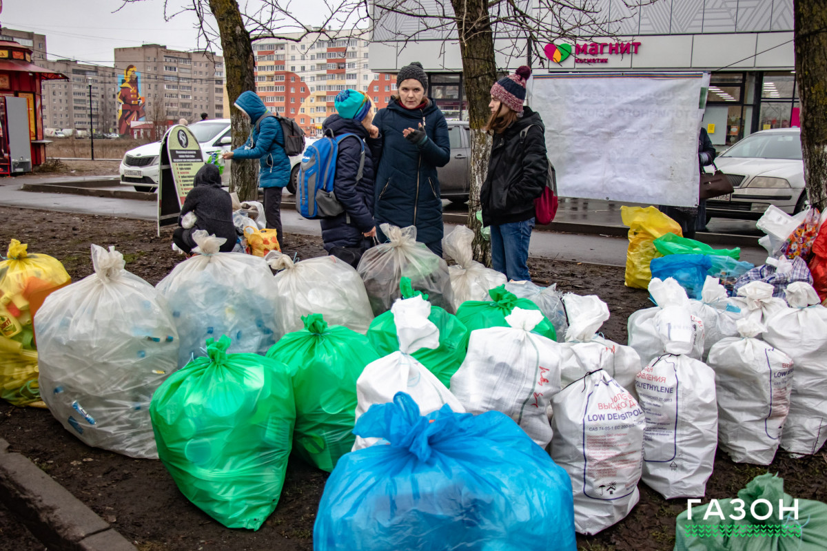 Три контейнера и осознанность: Как живут эко-волонтёры в Великом Новгороде