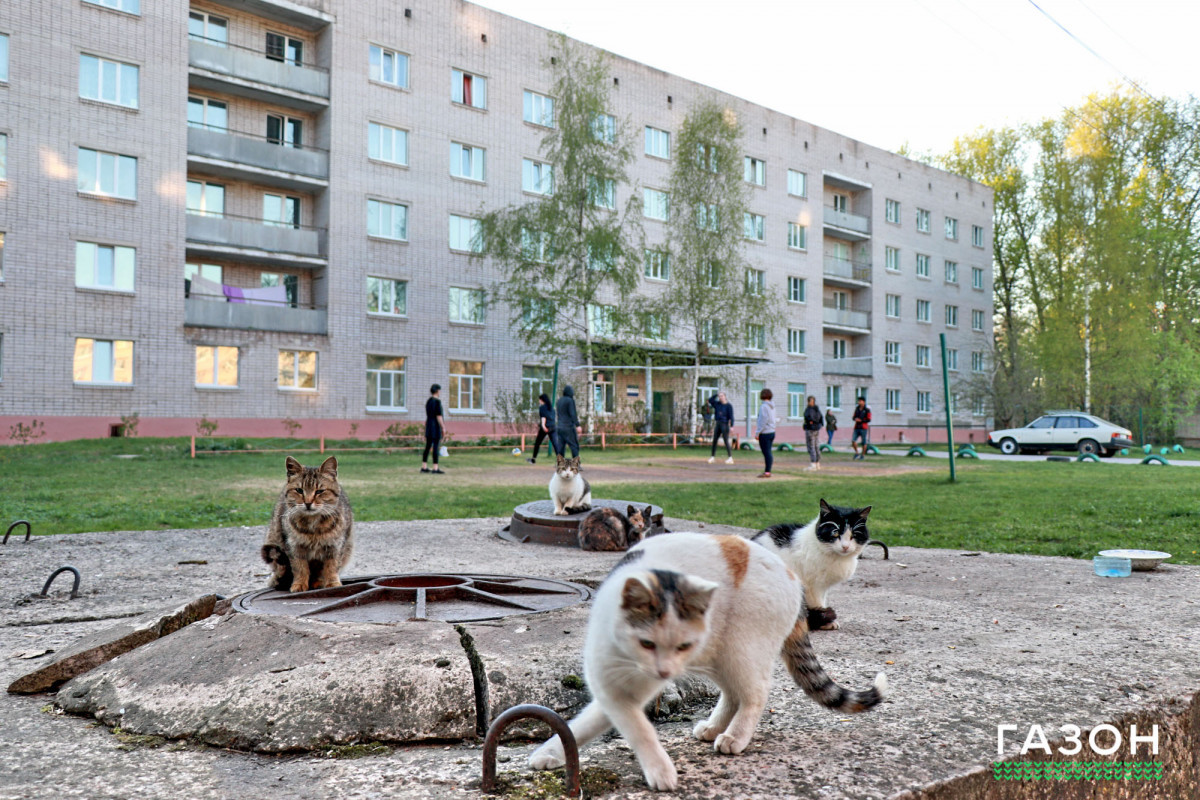 Плату за общежития в НовГУ увеличили до 811 рублей