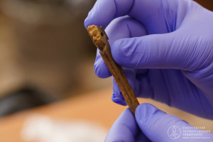 Голова в пасти зверя и топор для самых маленьких. Археологи НовГУ подвели итоги сезона-2025