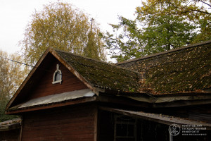 Фоторепортаж: «Осеннее противостояние»