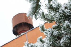  Фоторепортаж: «Первый снег»