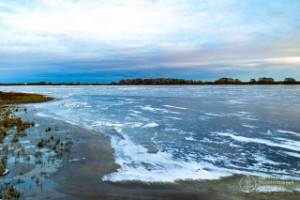Фоторепортаж: «А может, в сосновом лесу затеряться?»