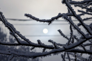 Фоторепортаж: «Зачем скрывать то, что так важно...»