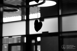 Фоторепортаж: «Порой и весною тоскливо бывает...»