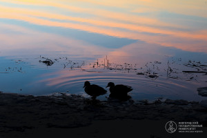 Фоторепортаж: «Время пролетает...»
