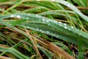 Фоторепортаж: «Когда-то Зима вернется...»
