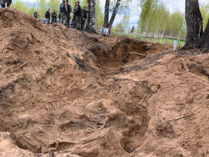 Следы пуль найдены у 15% останков из массового захоронения в Жестяной Горке