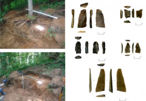 Новгородские археологи среди поддорских болот нашли фрагменты орудий каменного века